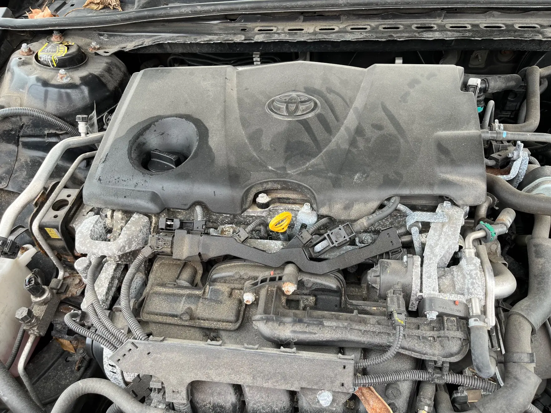Toyota Camry Le 2018