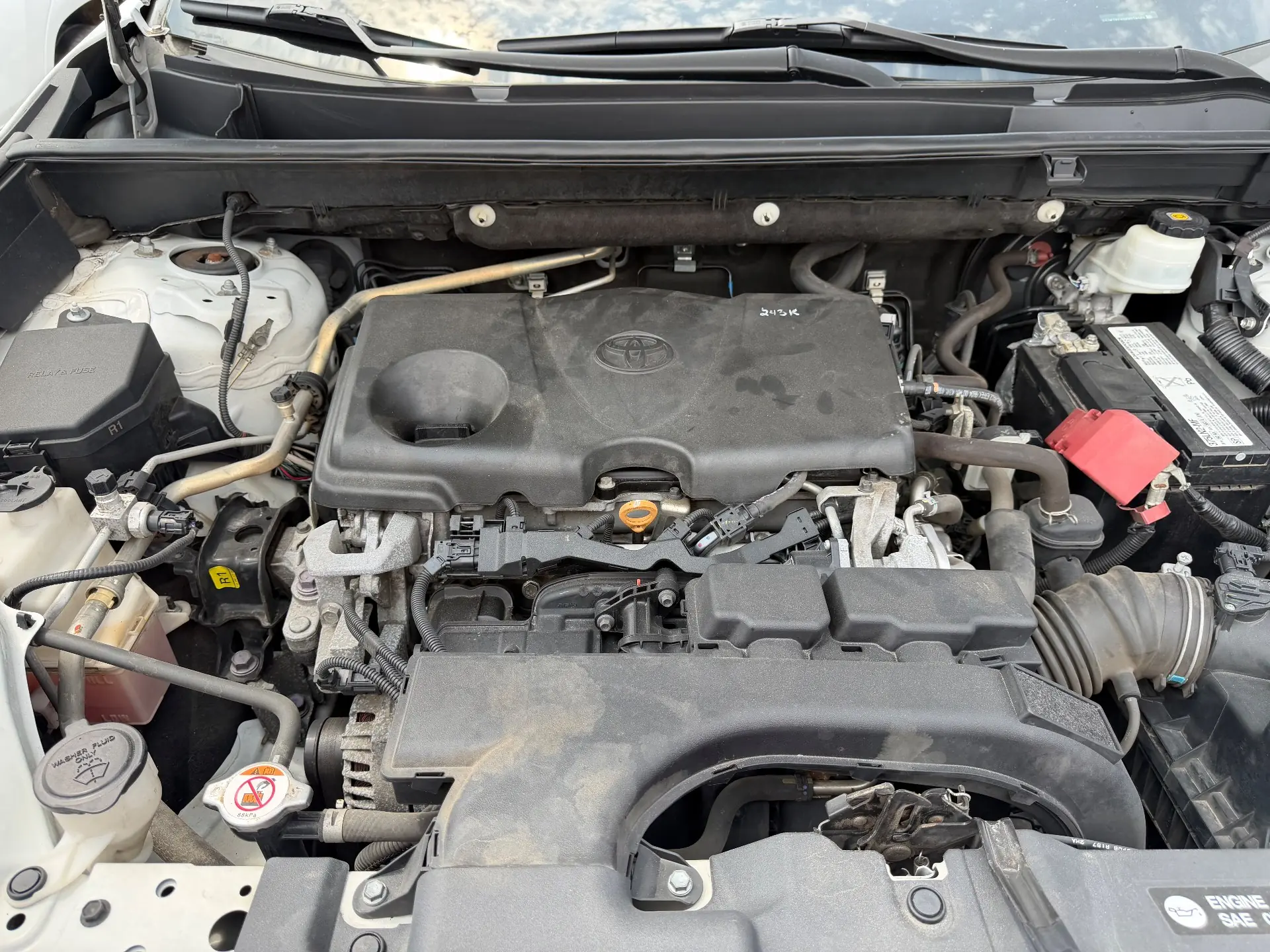 Toyota RAV4 LE 2019
