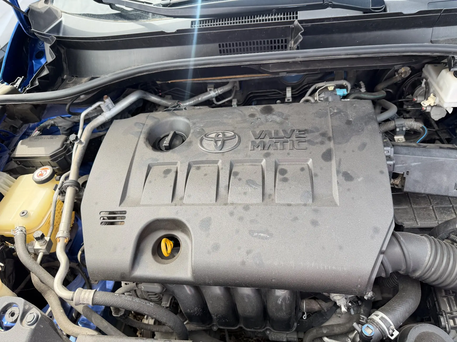 Toyota Chr 2019