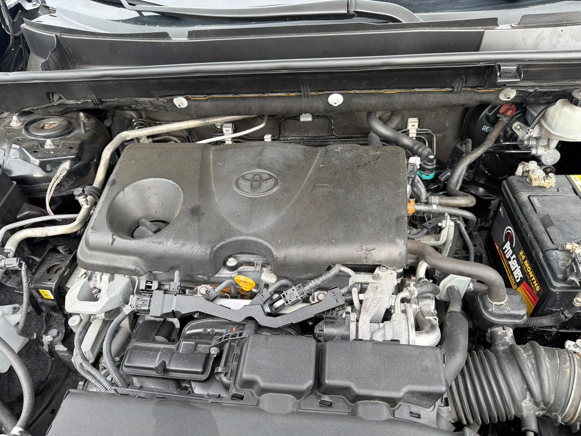 Toyota RAV4 XLE 2019