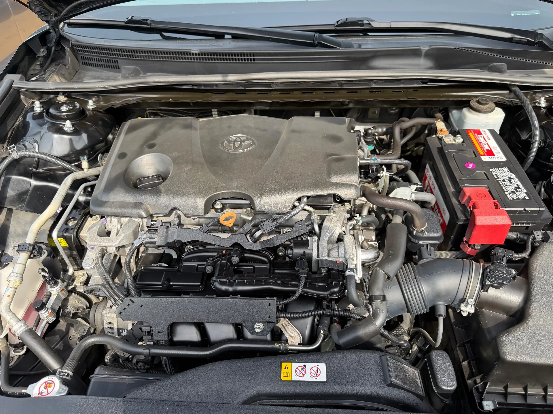 Toyota SE 2019