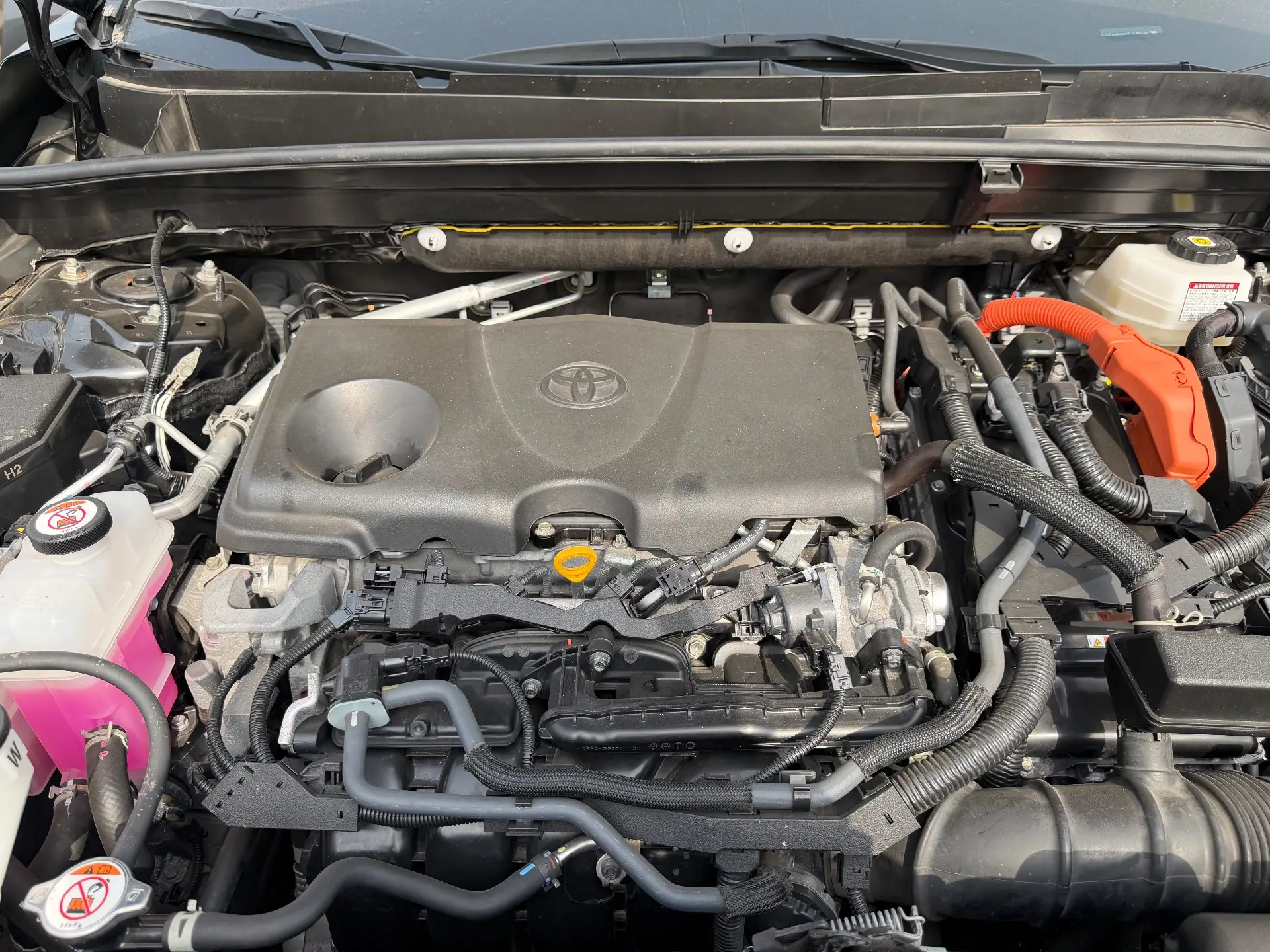 Toyota Venza XLE 2023