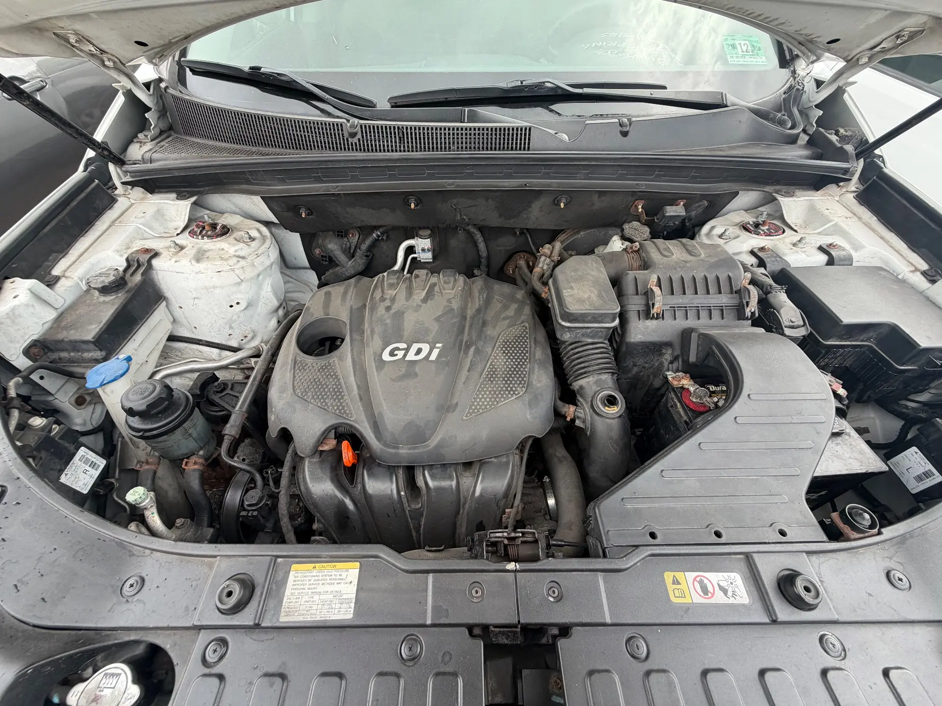 KIA Sorento Newton 2013