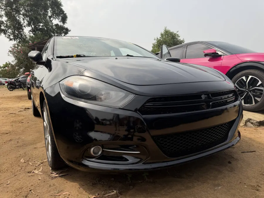 Dodge Rallye 2015