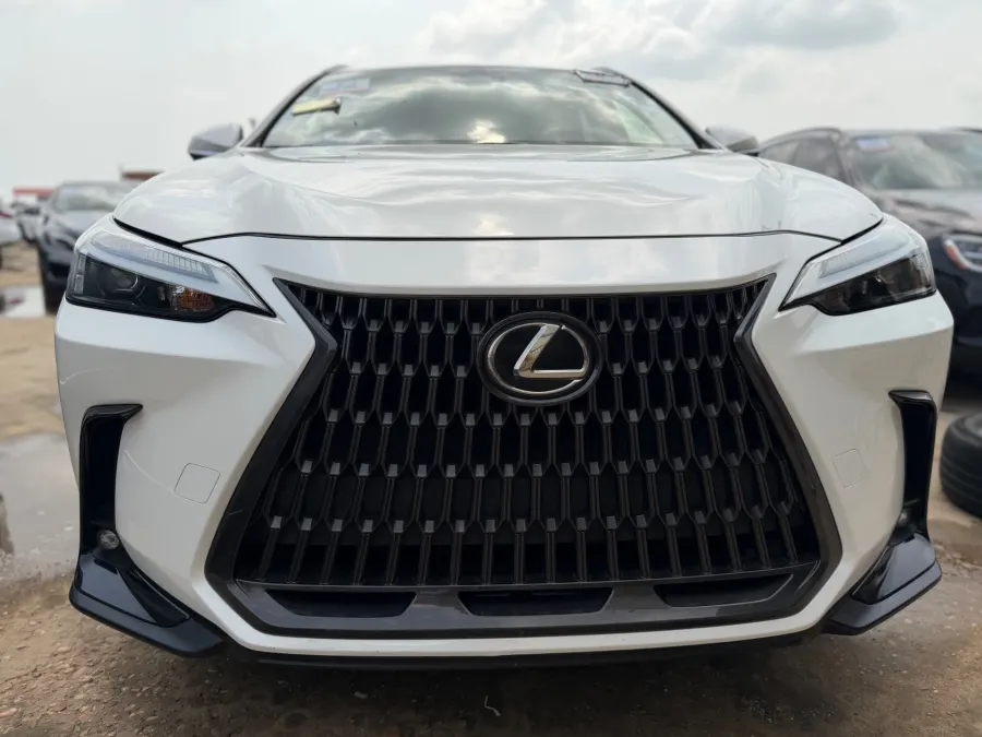 Lexus NX 250 2023