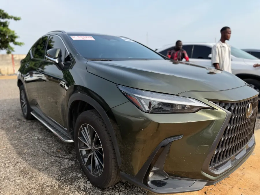 Lexus NX250 2022